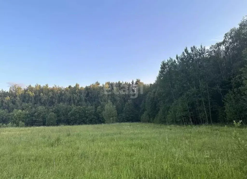 Купить Участок В Екатеринбурге Большой Исток