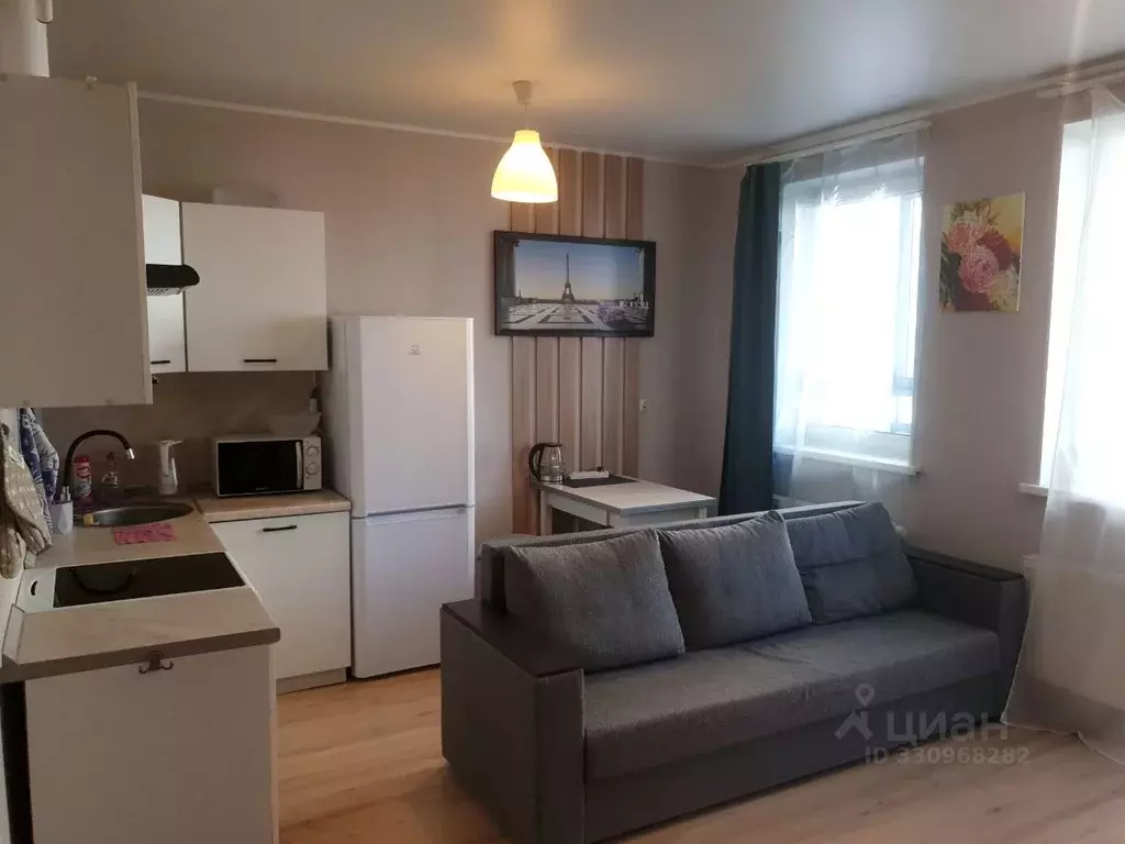 Студия Санкт-Петербург просп. Королева, 59к1 (25.0 м) - Фото 1