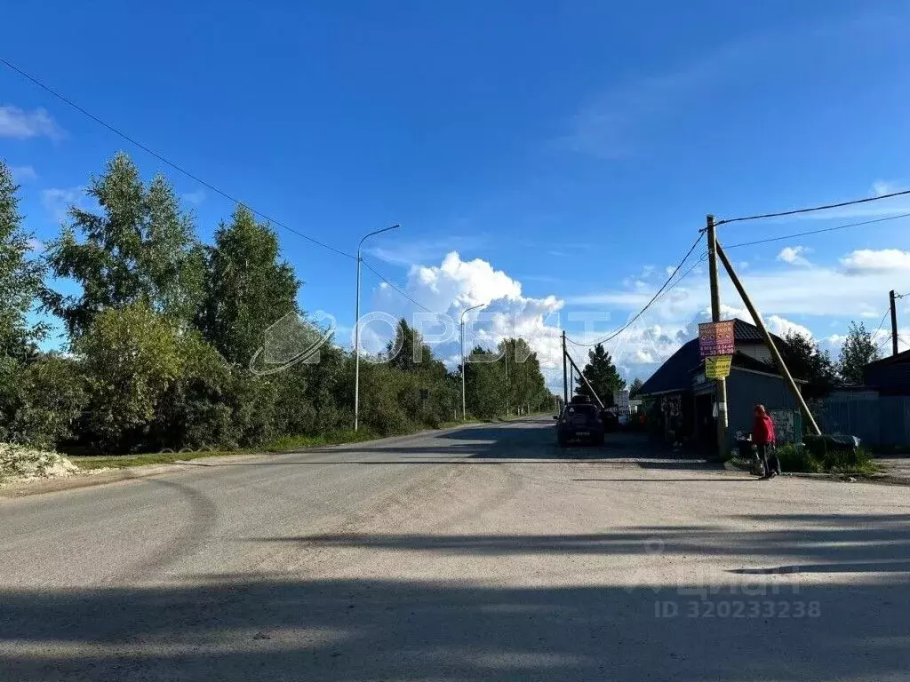 Участок в Тюменская область, Тюмень Садовое товарищество Липовый ... - Фото 0