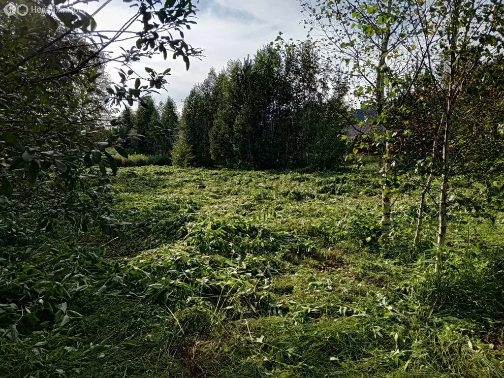 Участок в Майминский район, Соузгинское сельское поселение, посёлок ... - Фото 1