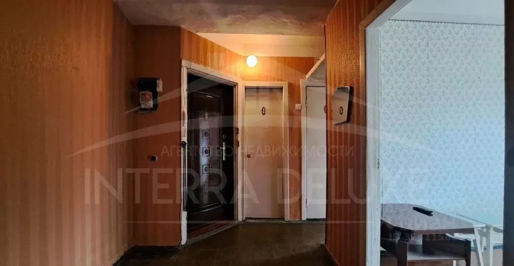 2-к кв. Севастополь ул. Репина, 28 (41.3 м) - Фото 2