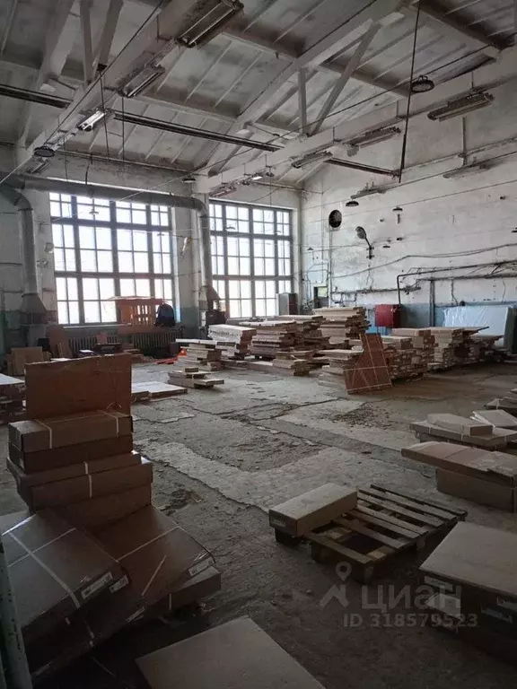 Помещение свободного назначения в Новосибирская область, Новосибирск ... - Фото 1