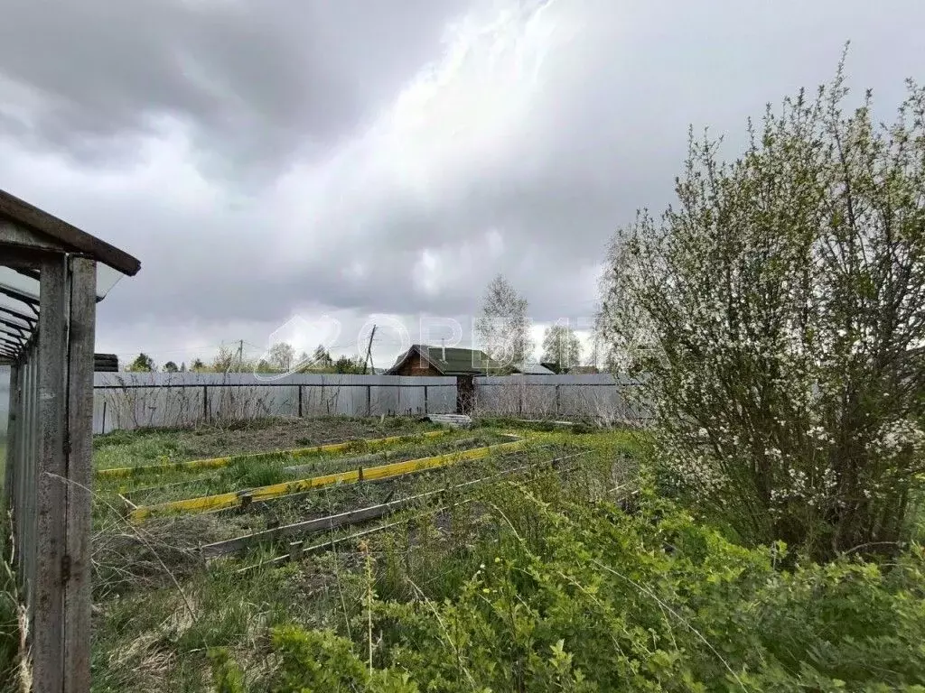 Участок в Тюменская область, Тюмень Меридиан СНТ, ул. Садовая (6.0 ... - Фото 2