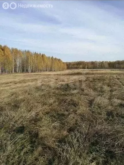 Участок в Новосибирская область, рабочий посёлок Кольцово (264 м) - Фото 1