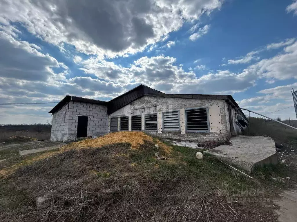 Склад в Воронежская область, Семилукский район, с. Землянск ... - Фото 0