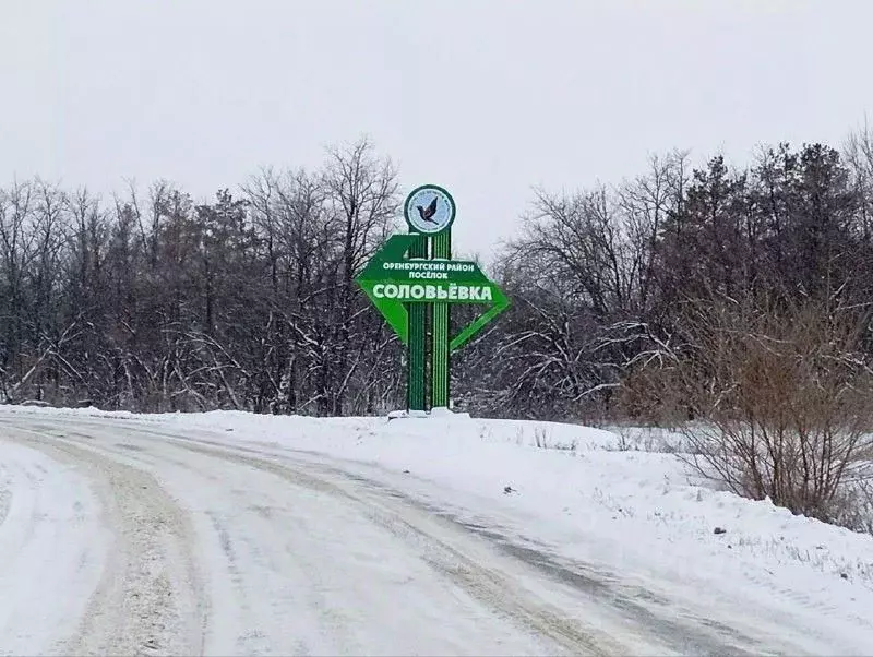 Участок в Оренбургская область, Оренбургский район, пос. Соловьевка ... - Фото 1