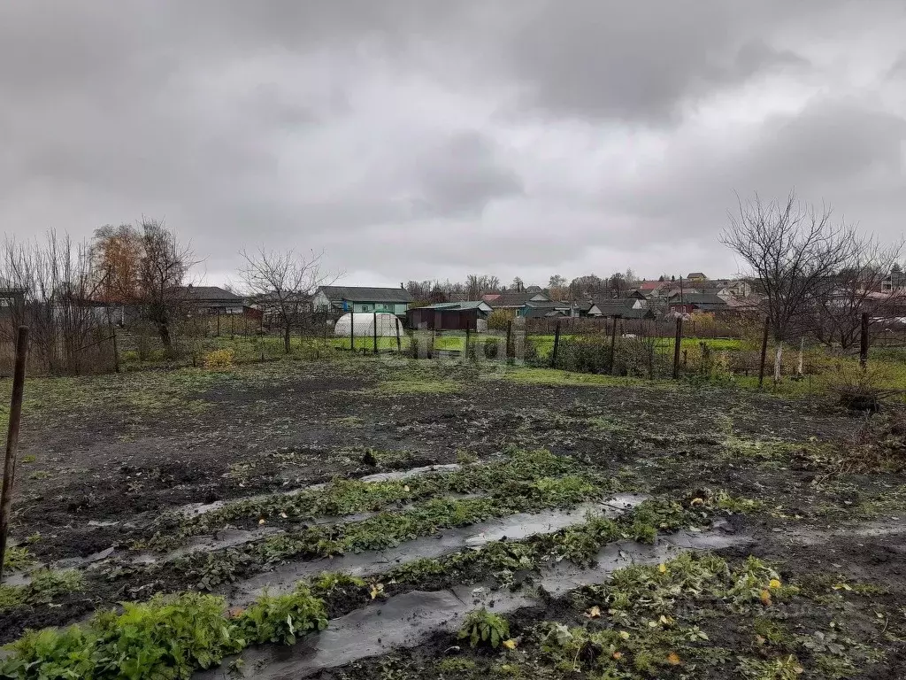 Участок в Саратовская область, Балашовский район, Хоперское ... - Фото 1