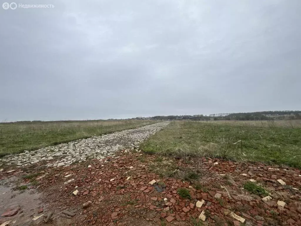 Участок в Вологодский муниципальный округ, село Первомайское, ... - Фото 0