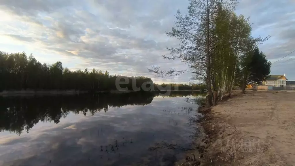Участок в Брянская область, Брянский район, Нетьинское с/пос, д. ... - Фото 2