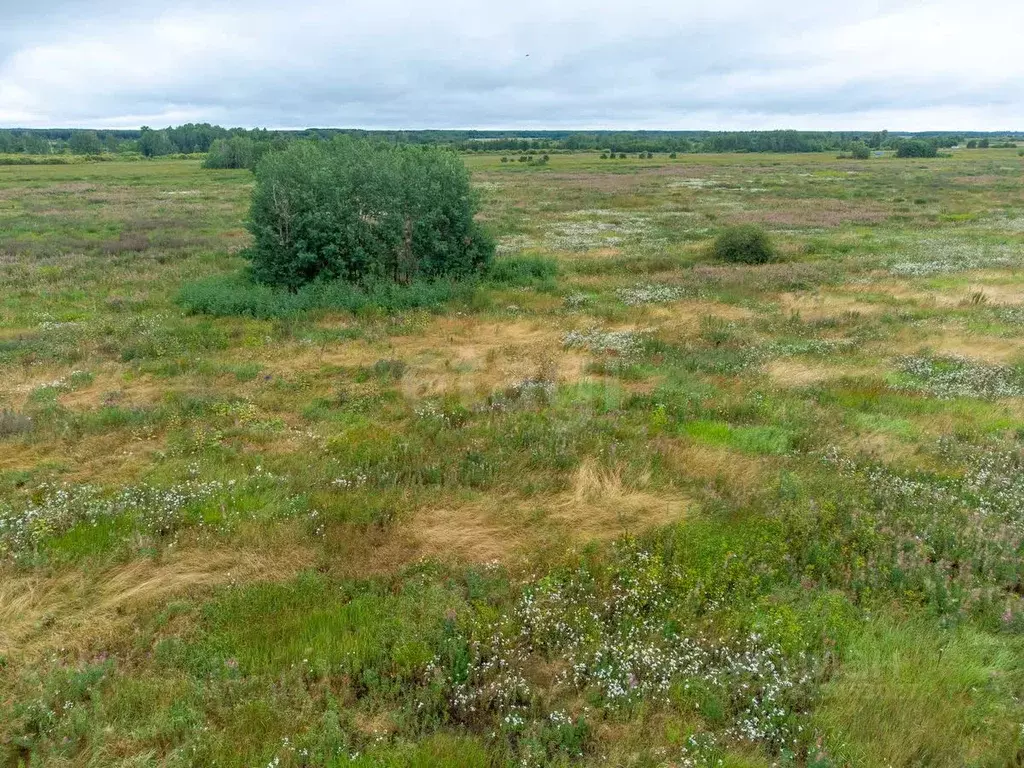 Участок в Тюменская область, Тюменский муниципальный округ, с. ... - Фото 1