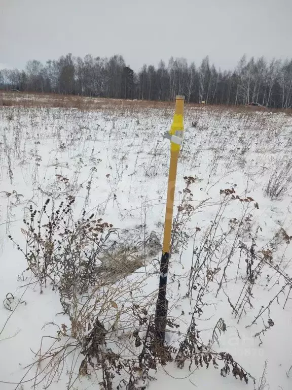 Участок в Тюменская область, Тюменский муниципальный округ, д. ... - Фото 2