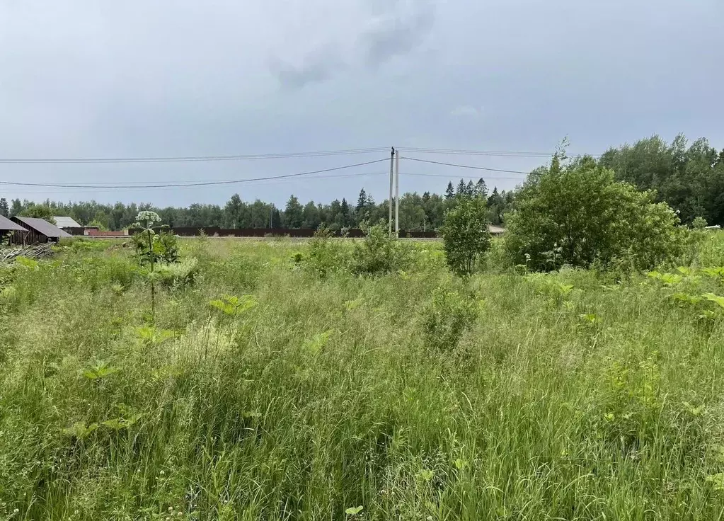 Участок в Московская область, Пушкинский городской округ, Грибановские ... - Фото 2