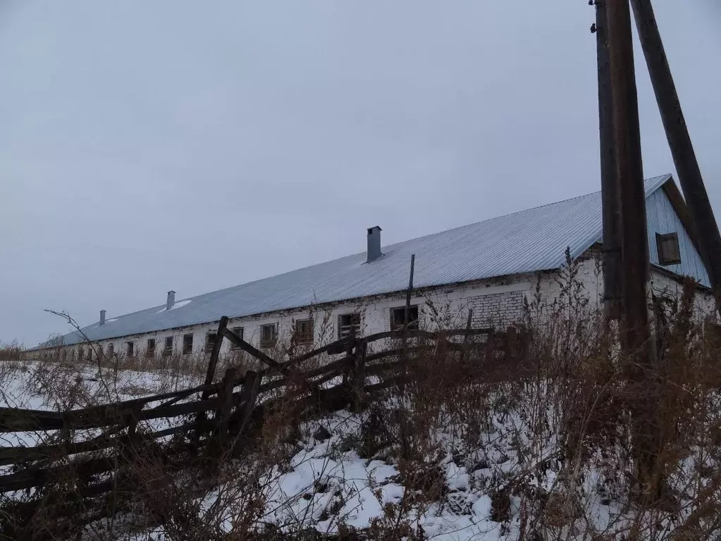 Помещение свободного назначения в Башкортостан, Миякинский район, ... - Фото 1