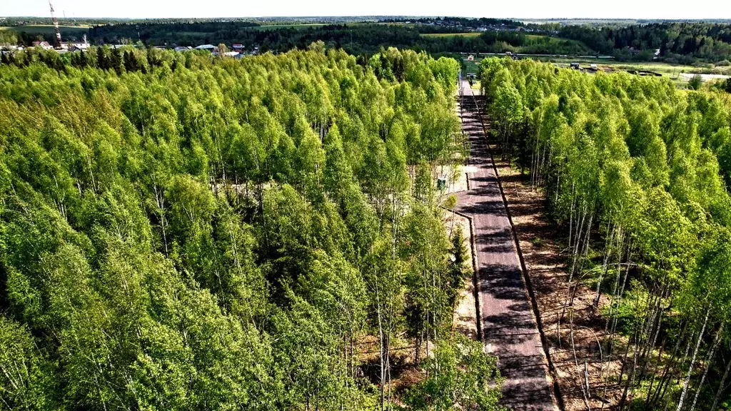 Участок в Московская область, Дмитровский муниципальный округ, д. ... - Фото 0