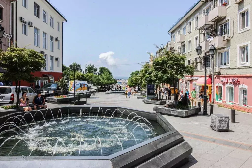 2-к кв. Приморский край, Владивосток Семеновская ул., 8Б (45.0 м) - Фото 0