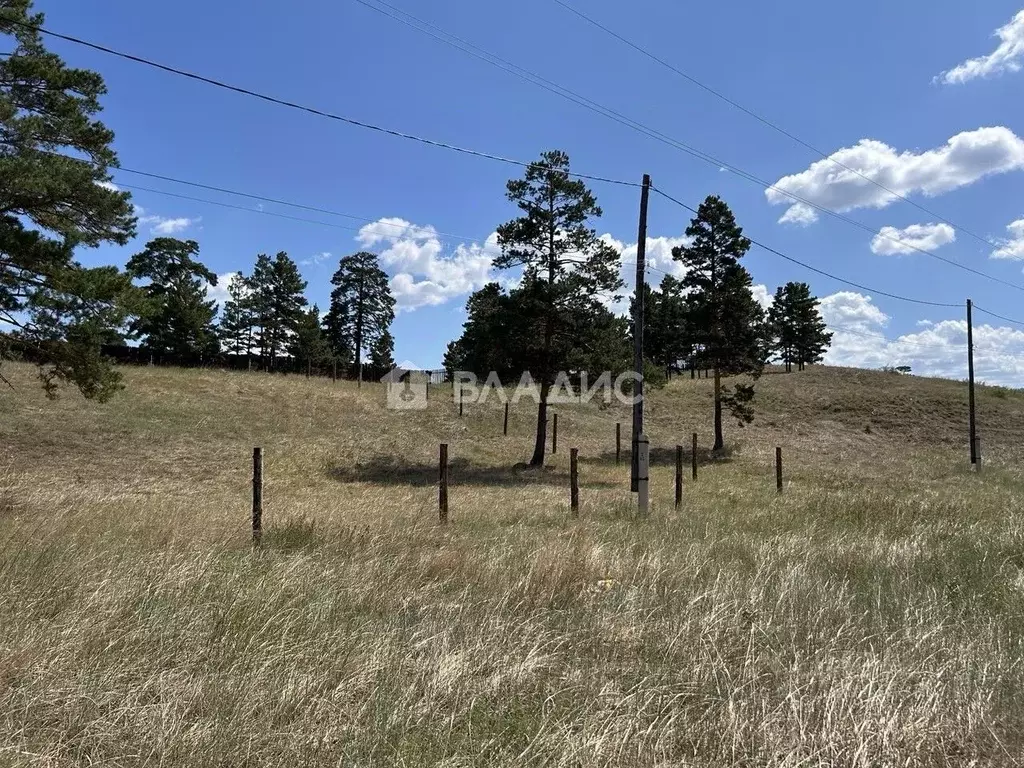 Участок в Бурятия, Тарбагатайский район, Саянтуйское с/пос, с. Нижний ... - Фото 1