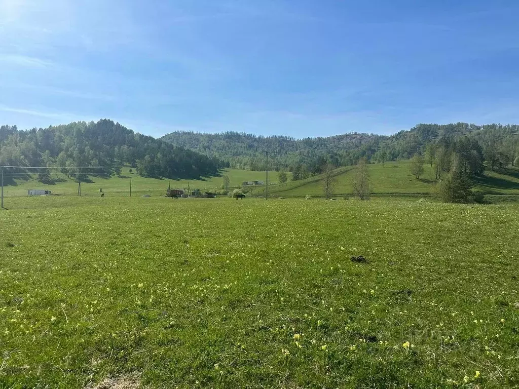 Участок в Алтай, Чемальский район, Узнезинское с/пос  (17.77 сот.) - Фото 0