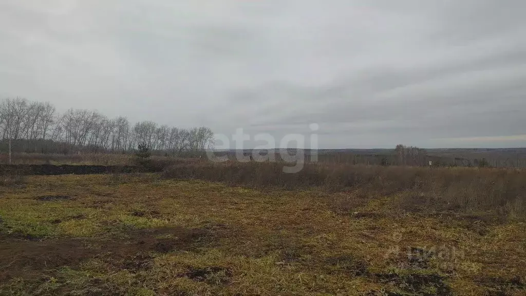 Участок в Красноярский край, Большемуртинско-Сухобузимский округ, с. ... - Фото 1