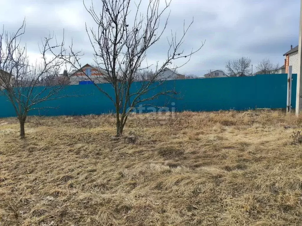 Участок в Белгородская область, Алексеевка Полевой проезд (8.4 сот.) - Фото 0