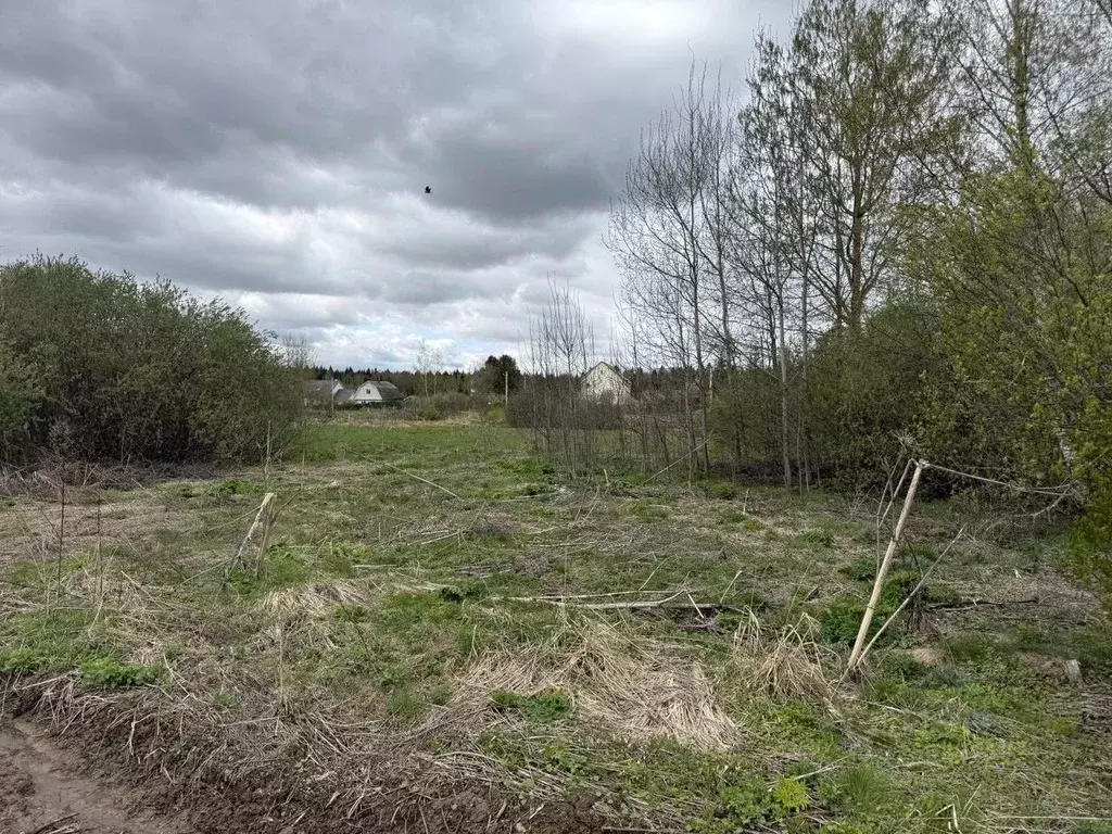 Участок в Московская область, Пушкинский городской округ, д. ... - Фото 1