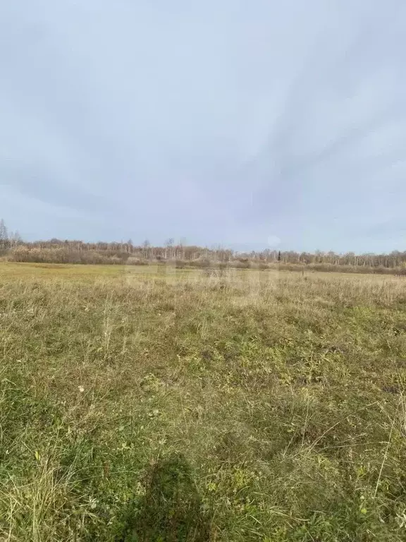 Участок в Свердловская область, Слободо-Туринский район, ... - Фото 2