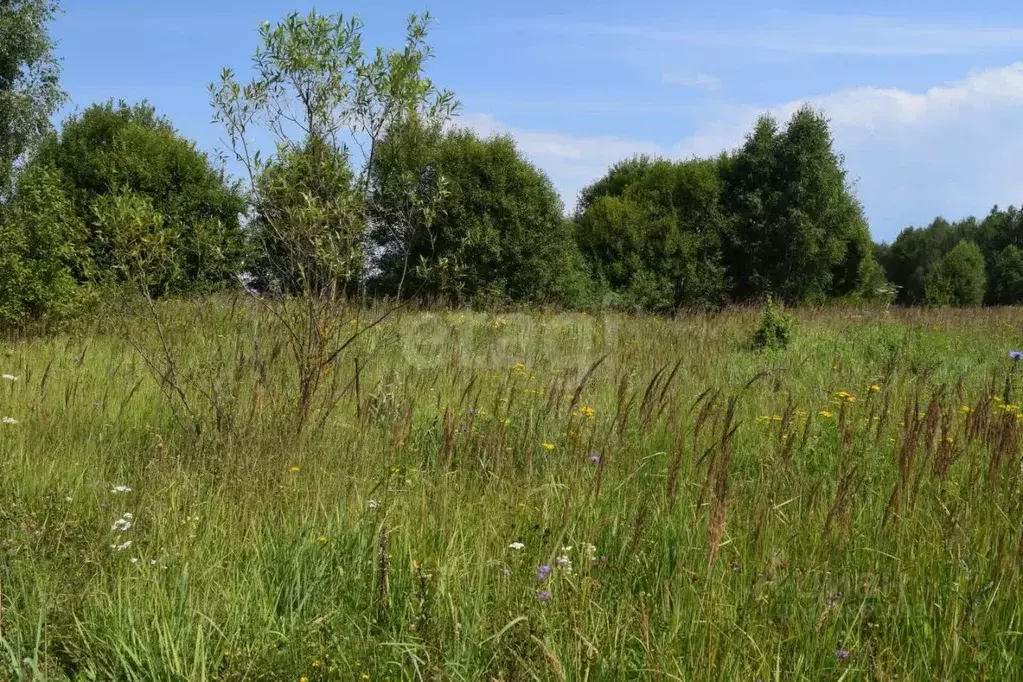 Участок в Калужская область, Перемышльский район, Хотисино с/пос, д. ... - Фото 2