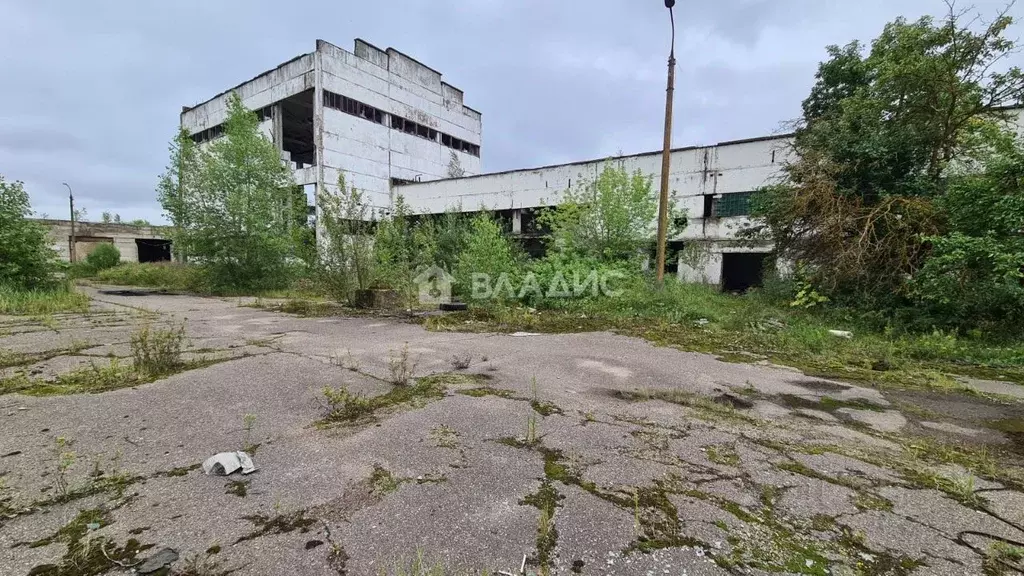 Производственное помещение в Ярославская область, Переславль-Залесский ... - Фото 1