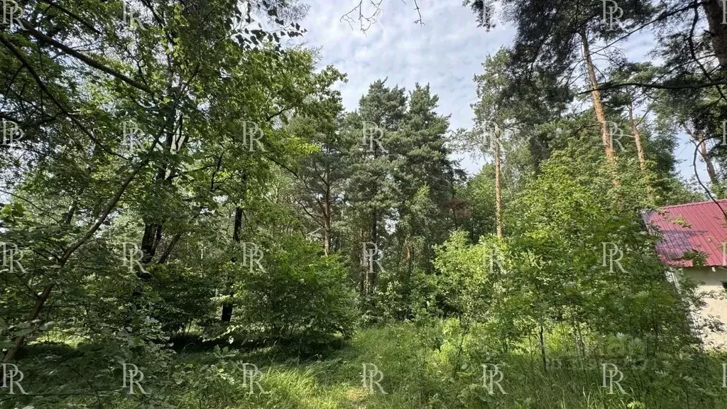 Участок в Московская область, Красногорск городской округ, с. ... - Фото 0