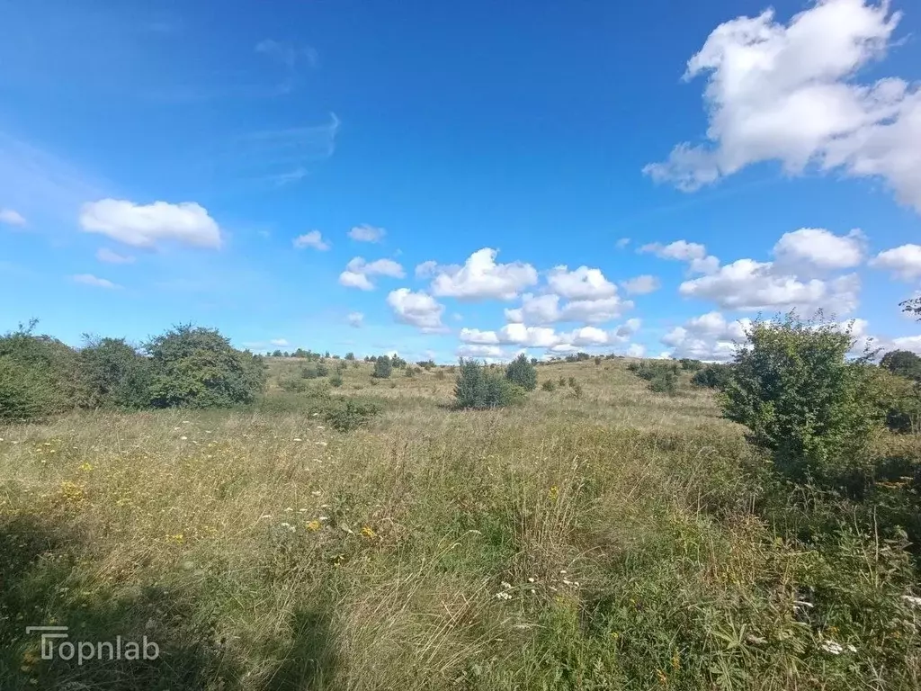 Участок в Калининградская область, Зеленоградский муниципальный округ, ... - Фото 2