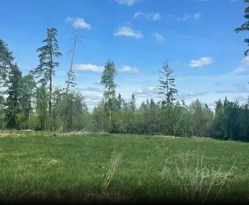 Участок в Московская область, Щелково городской округ, д. Мишнево ул. ... - Фото 1