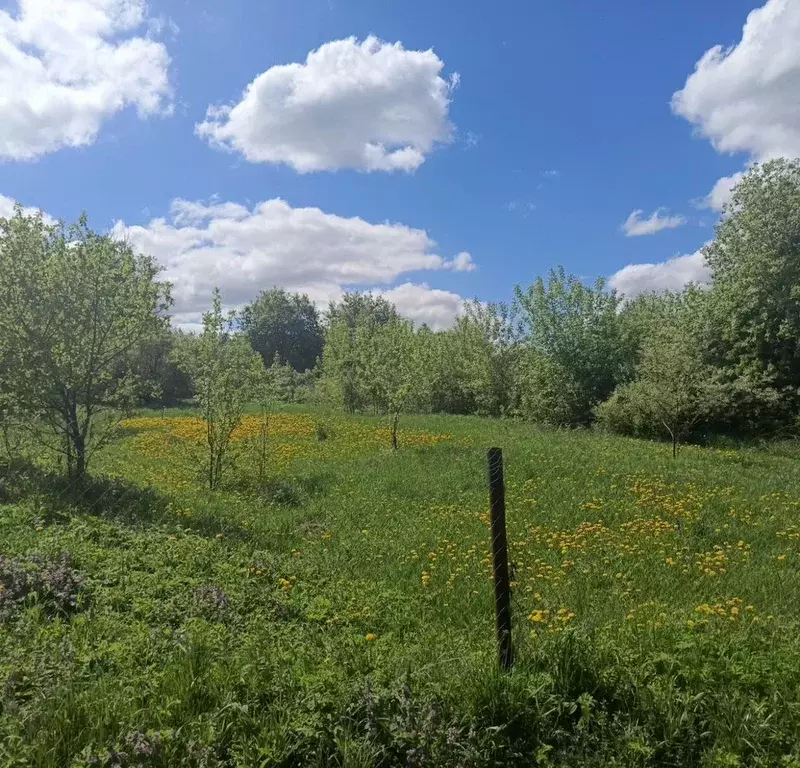 Участок в Московская область, Кашира городской округ, д. Малеево 89 ... - Фото 1