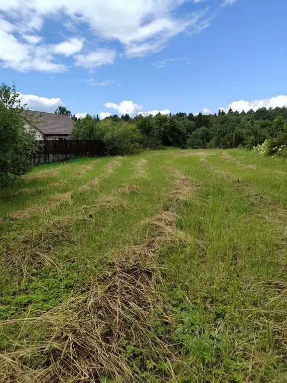 Участок в Московская область, Серпухов городской округ, д. Лисенки  ... - Фото 2