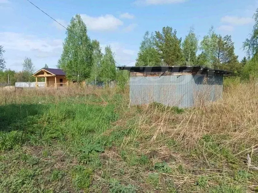 Участок в Тюменская область, Нижнетавдинский район, Здоровье-3 СТ  ... - Фото 1