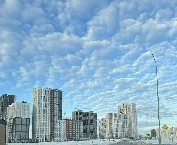 1-к кв. Самарская область, Самара Южное ш., 11 (36.0 м) - Фото 0