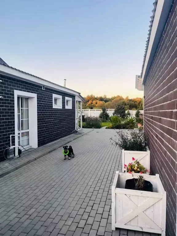 Дом в Липецкая область, Добровский муниципальный округ, с. Липовка ул. ... - Фото 2