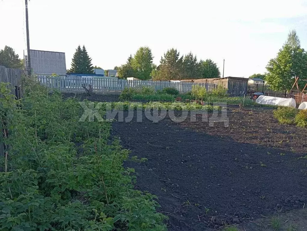 Участок в Искитимский район, Чернореченский сельсовет, садовое ... - Фото 0