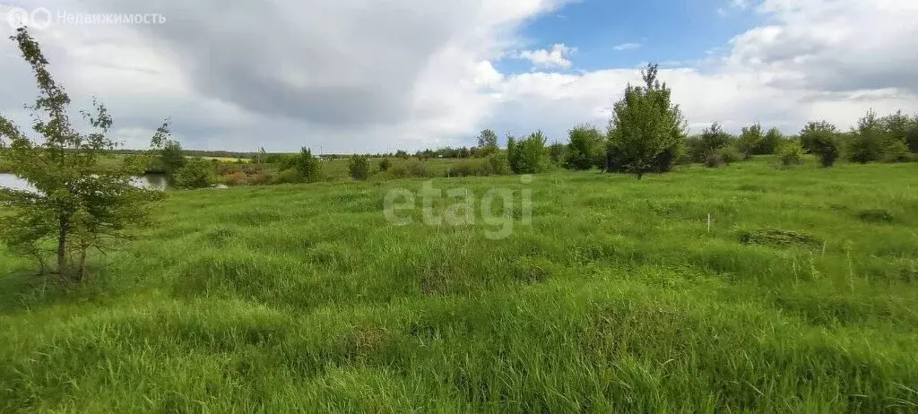 Участок в Рамонский район, Русскогвоздёвское сельское поселение, село ... - Фото 1
