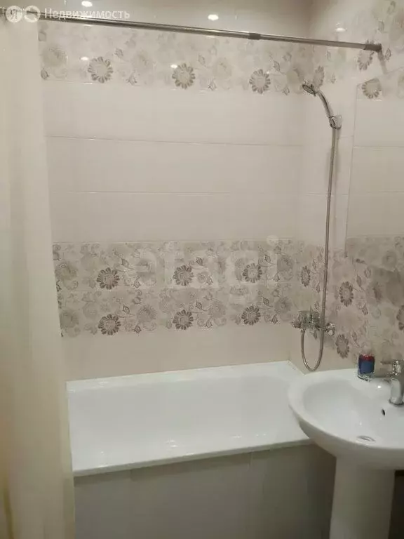 1-комнатная квартира: Новосибирск, Советская улица, 58 (30 м) - Фото 1