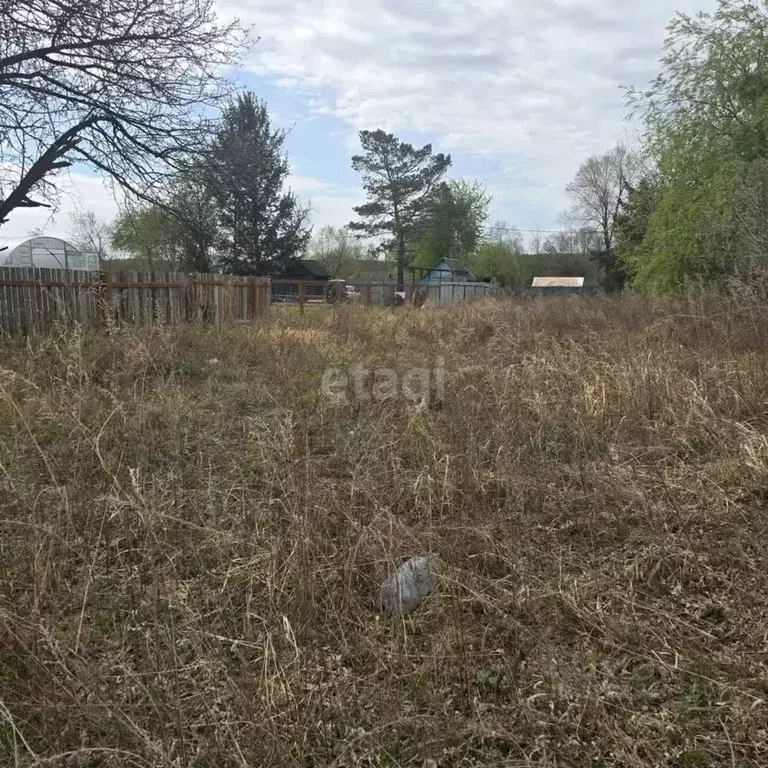 Участок в Амурская область, Благовещенск Медик СТ,  (9.7 сот.) - Фото 1