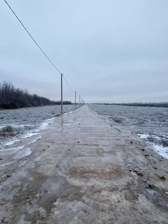 Участок в Ростовская область, Мясниковский район, Краснокрымское ... - Фото 0