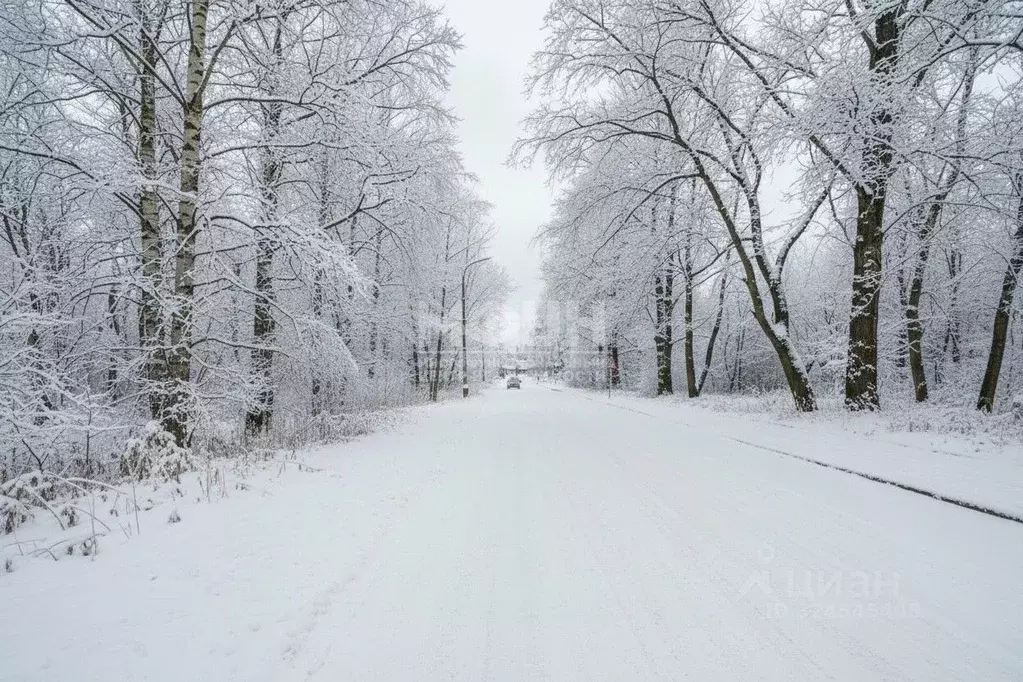 Помещение свободного назначения в Карелия, Петрозаводск ул. Ригачина, ... - Фото 2