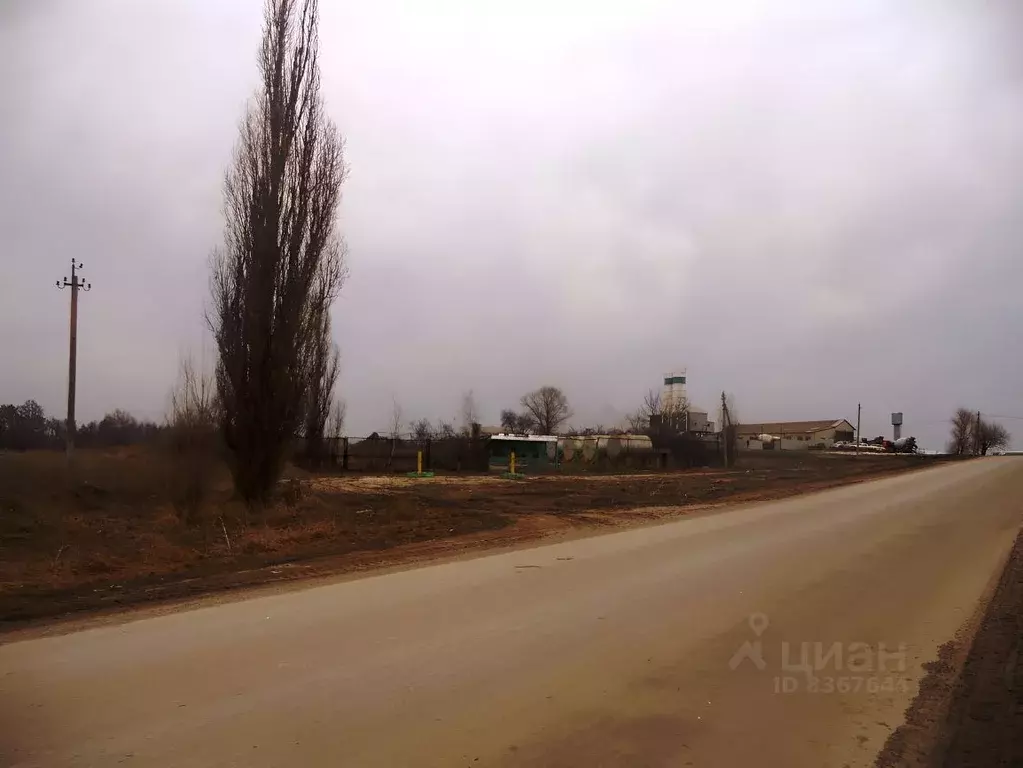 Помещение свободного назначения в Белгородская область, Белгородский ... - Фото 1