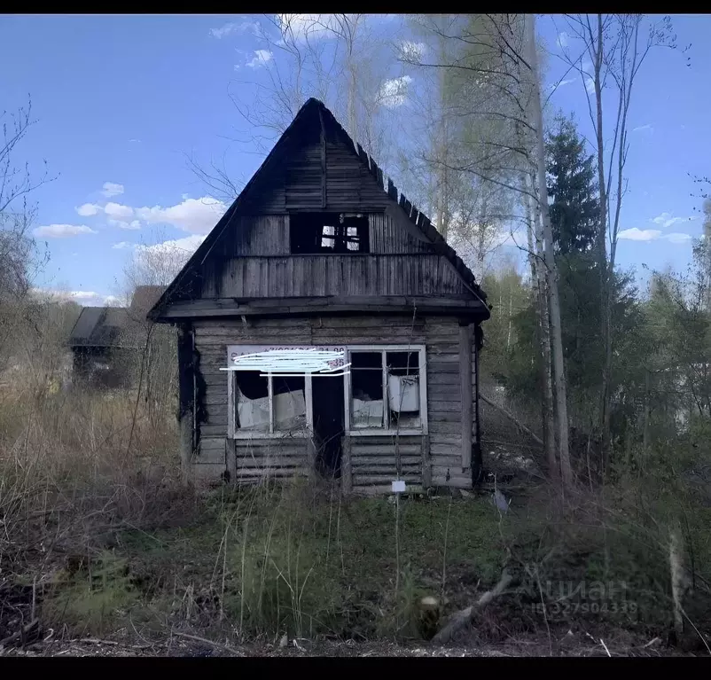 Участок в Ленинградская область, Лужский район, Мшинское с/пос, ... - Фото 1