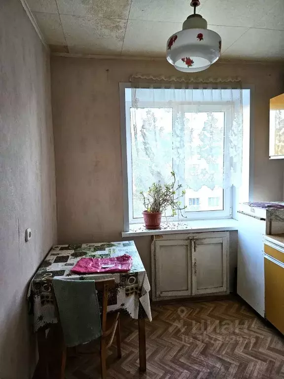 1-к кв. Волгоградская область, Волгоград ул. Елисеева, 3 (30.7 м) - Фото 1