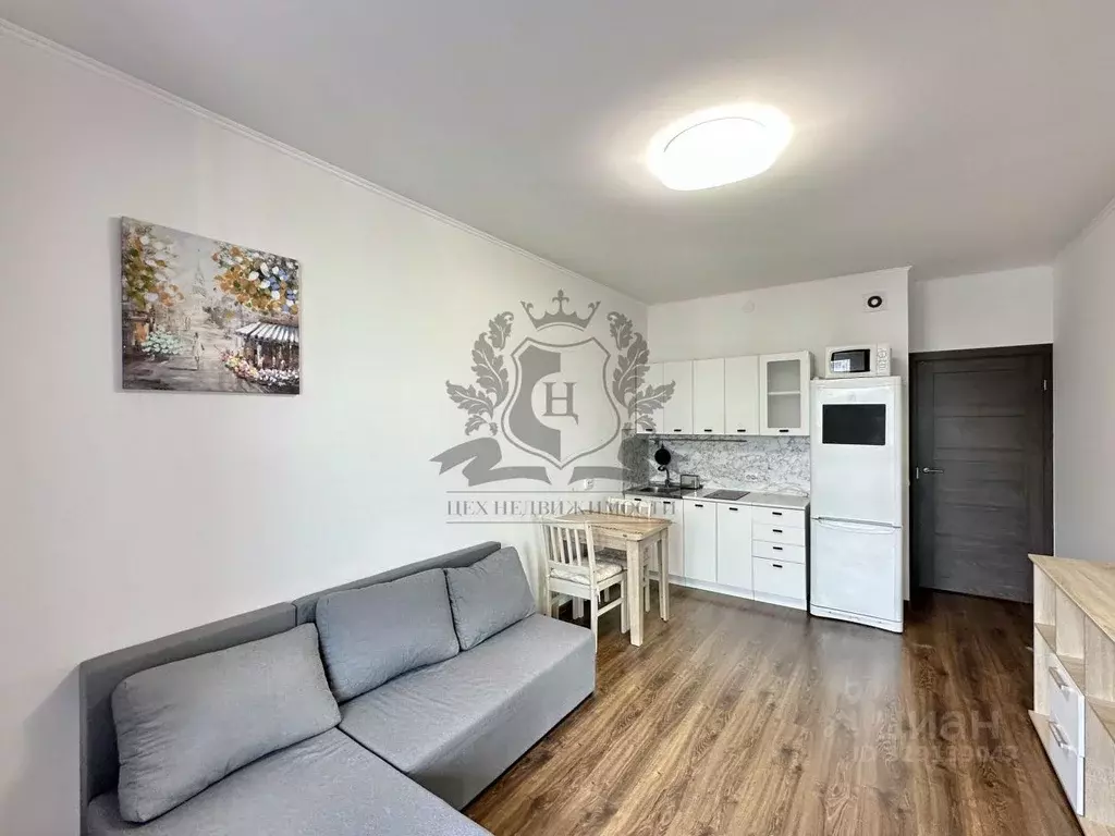 Студия Санкт-Петербург аллея Арцеуловская, 21 (24.4 м) - Фото 1