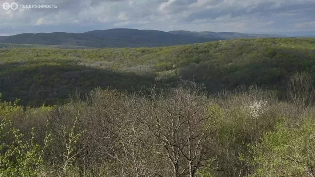 Участок в Кутаис, Новая улица (10 м) - Фото 0