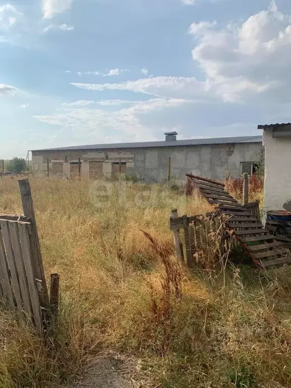 Склад в Крым, Белогорский район, Русаковское с/пос, с. Луговое ул. ... - Фото 1