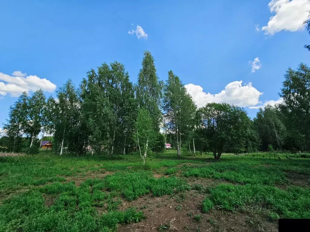 Участок в Ленинградская область, Тосно г. Тосненский район, Тосненское ... - Фото 1