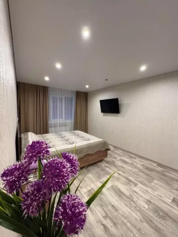 1-к кв. Магаданская область, Магадан ул. Гагарина, 33 (33.0 м) - Фото 1