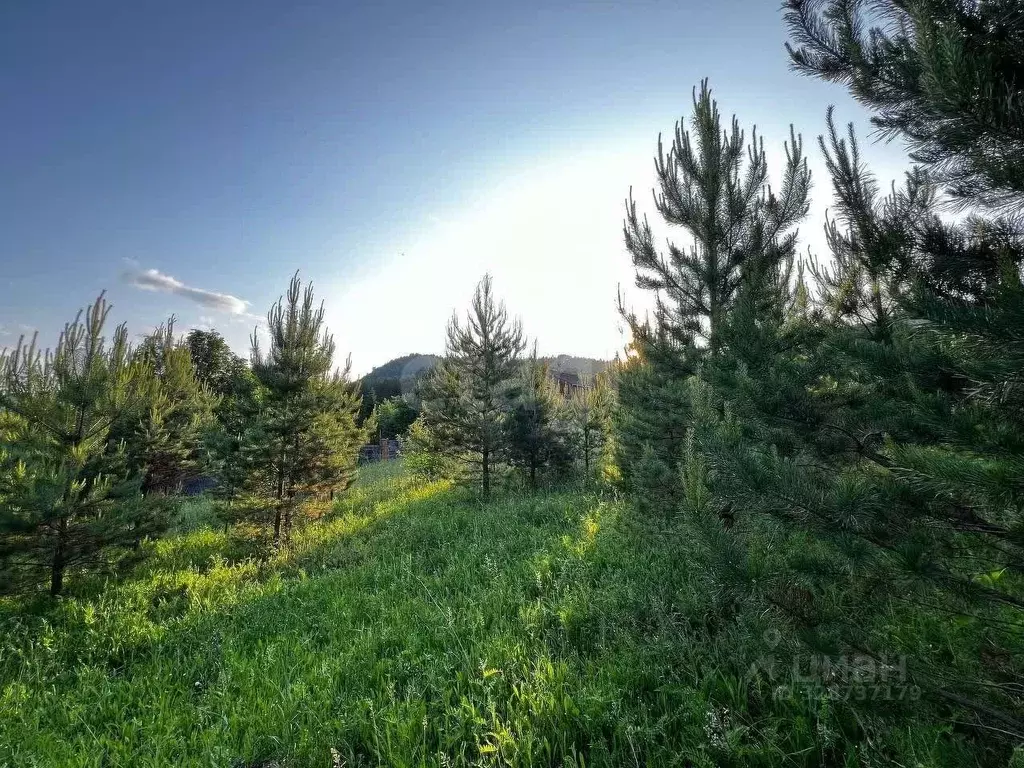 Участок в Красноярский край, Дивногорск городской округ, пос. Манский ... - Фото 1